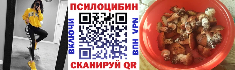 Галлюциногенные грибы мицелий  цена   Хотьково 
